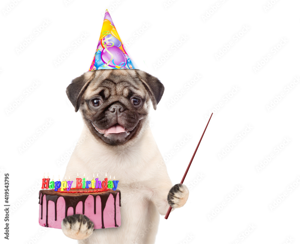 Poster pug puppy wearing a party cap holds birthday cake and points away on empty space. isolated on white 