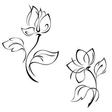 ornament 1605. two separate stylized flowers with large petals on a short stem with leaves