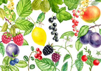 background with fruit and berries