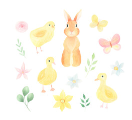 Watercolor Easter hand-painted set isolated on white background. Watercolor easter eggs, butterflies, bunny, rabbit, floral, greenery. Perfect for greeting cards. 