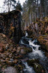 Obraz premium waterfall in the forest