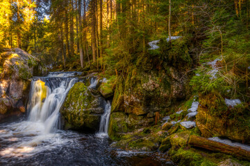 waterfall in the forest