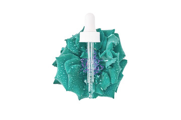 pipette with a moisturizing serum for the skin care on a white background. rose flower painted in turquoise color in drops of water close-up. flat lay