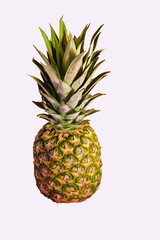 Fototapeta premium single whole pineapple isolated on white background