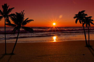 Obraz na płótnie Canvas Sunset over ocean with palm trees silhouette.