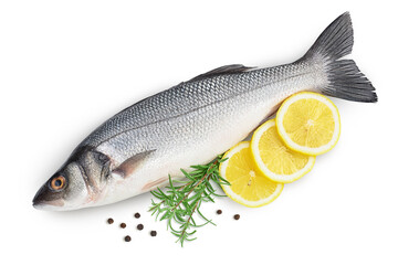 Sea bass fich isolated on white background with clipping path and full depth of field. Top view. Flat lay
