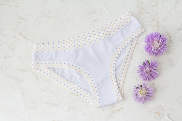 Beautiful women cotton panties on white background.