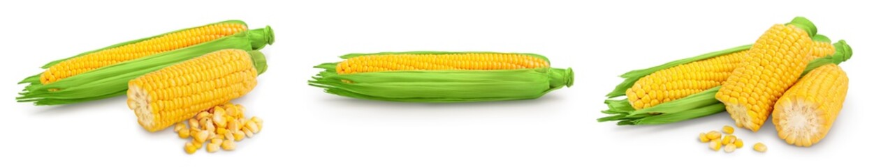 ear of corn isolated on a white background. Clipping path and full depth of field. Set or collection