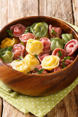Italian pasta tortellini from colored dough close-up in a bowl on the table. vertical