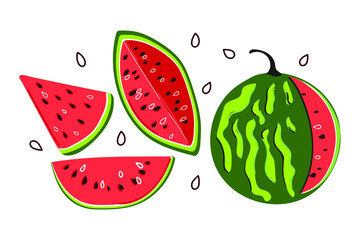 Hand drawn set of watermelons. Modern flat illustration. 