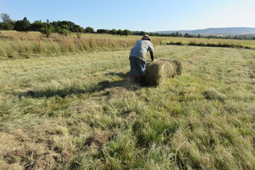 A farm worker rolling a round bale of hay on a grass field with green pasture landscapes in the background