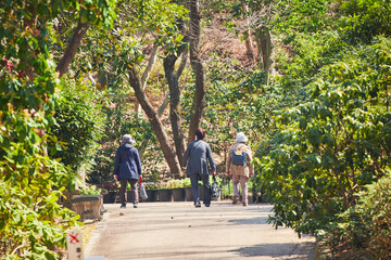 Obraz premium 春の公園で散策しているシニア女性たちの姿