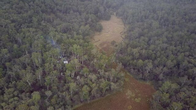 Aerial Tilt Up: Green Trees In Forest Against Cloudy Sky