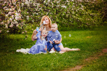A happy family of blonds. Chubby mom and two kids boy and girl in a blooming spring apple orchard on a spring picnic. They start blowing soap bubbles.