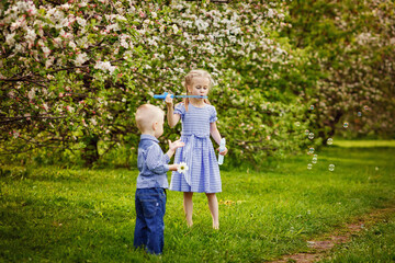 Cute kids girl and boy play on the grass under the apple tree in the spring blooming garden. Brother and sister let and catch soap bubbles.