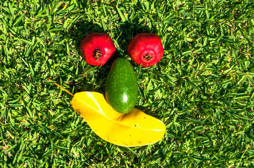 Two red pomegranates, a green avocado and a yellow leaf lie on the green grass and depict a face with a smile