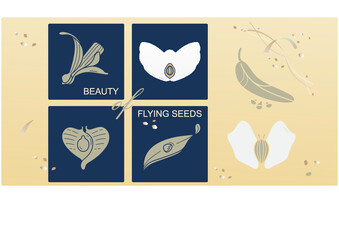 MInimalist aesthetic flying seeds set on abstract universal background templates. Vector modern spring fashionable design for invitations, posters, brochures