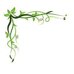 Vintage floral ornament in green colors. Hand drawn decorative element, vector illustration of floral element isolated on white background, design for page decoration cards, wedding, banner, frames