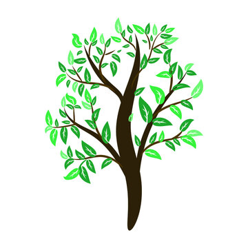 Vector illustration tree with green leaves. Silhouette on white background.
