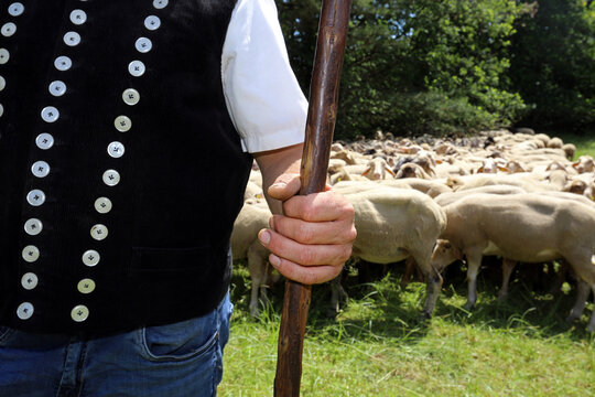 Hirte