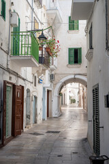 Fototapeta na wymiar beautiful white buildings in the oldtown of Monopoli in Puglia