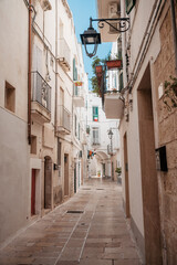 Fototapeta na wymiar beautiful narrow alley through white buildings in the oldtown of Monopoli in Puglia
