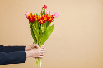 Bouquet of tulips in hands on a neutral background