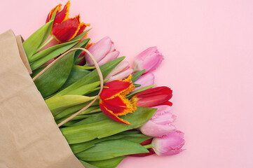 Bouquet of pink and red tulips and a paper bag on a pink background.