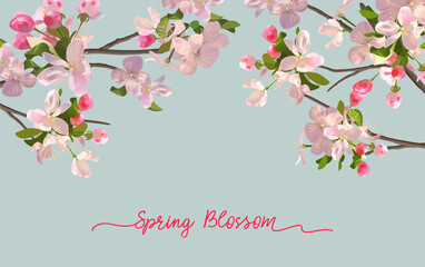 Obraz na płótnie Canvas Spring Blossom Background