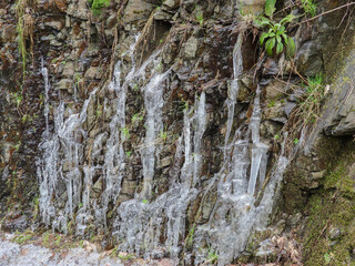 Fototapeta na wymiar melting icicles on rocks in nature of Luxembourg