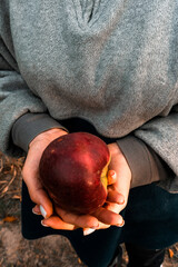 person holding a apple © Max Bonda