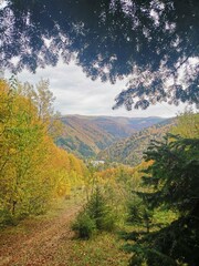 Naklejka premium Carpathians