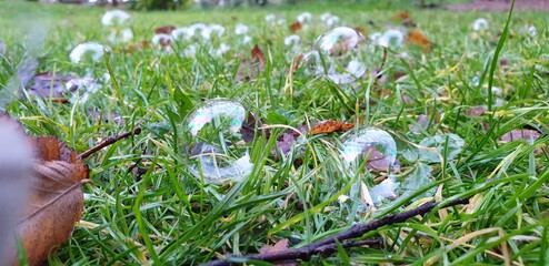 Bubbles in the grass