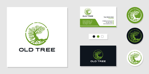 Tree of life logo and business card design template inspiration