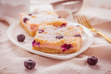 Homemade Layer Cheesecake with blueberries