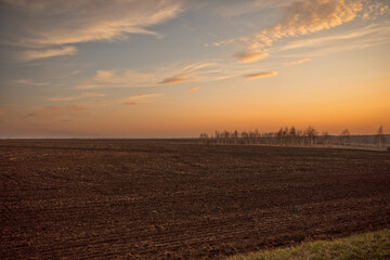 sunset over the field