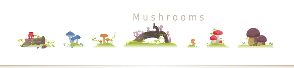 mushrooms Illustration set.