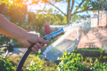 Watering green garden by hand of a senior man with hose. Watering the garden. Selective focus