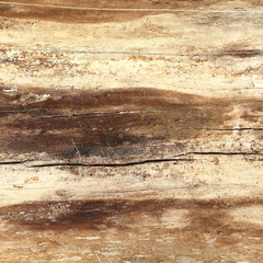a wooden surface with cracks, scratches and signs of damage by insects. very old wood texture