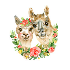 Watercolor hand draw illustration with cute alpaca lama couple and green and blue heart and flowers and leaves with white isolated background © Natali_Mias