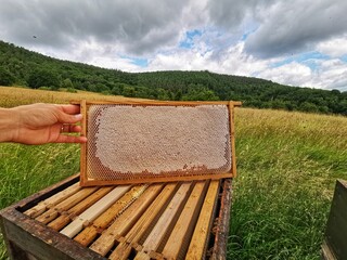 Fototapete bei efototapeten.de bestellen   