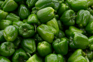Obraz na płótnie Canvas Heap of sweet green bell peppers. Healthy food and vitamins during the cold season. Close-up. Background. Space for text.