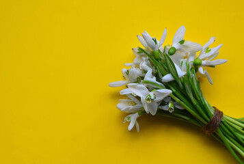 White snowdrops spring flowers or Galanthus nivalis bouquet on a yellow background.Springtime holidays concept with copy space