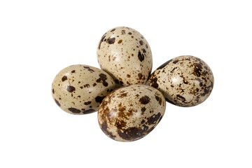 Boiled spotted quail eggs  isolated on white background.  Healthy Food Products Concept