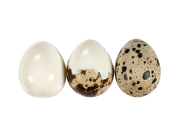 Boiled spotted quail eggs  isolated on white background.  Healthy Food Products Concept