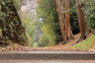 大阪城公園　大阪　日本