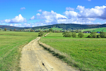 Fototapeta na wymiar Rural road through fields with green herbs and blue sky with clouds
