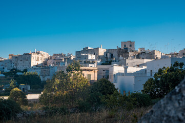 Fototapeta na wymiar white city of Ostunis, Puglia