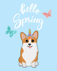 Spring poster with welsh corgi in a wreath of flowers. Lettering hello spring. Vector greeting card isolated on a blue background.