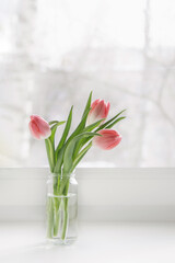 A bouquet of pink tulips in a glass jar is on the windowsill in the house.